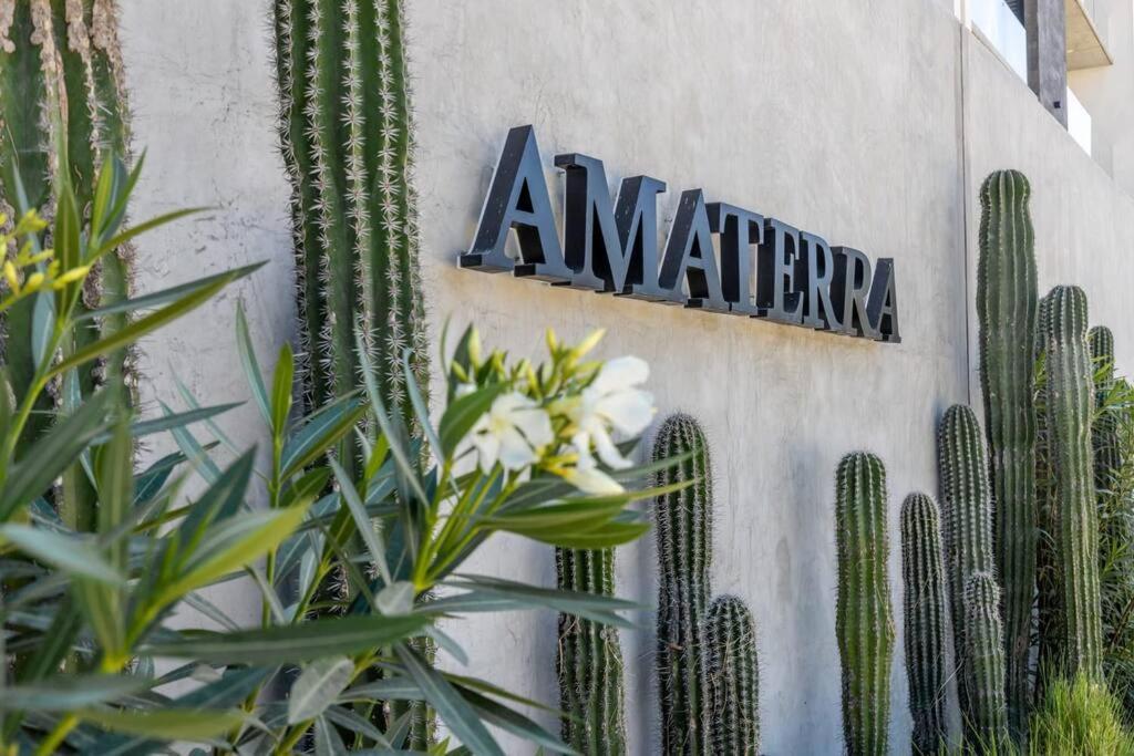 Endless Summer - 2Bed 2Bath Condo - Seasonly Heated Pool With Ocean Views - 5Min Walk To Beach - Fibre Internet - Sleeps 6 Cabo San Lucas Buitenkant foto